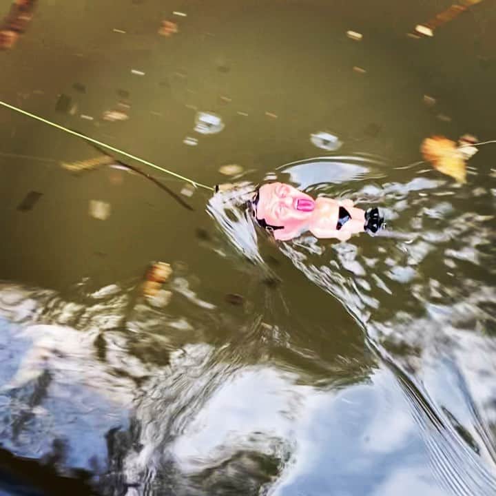 鈴木みのるのインスタグラム