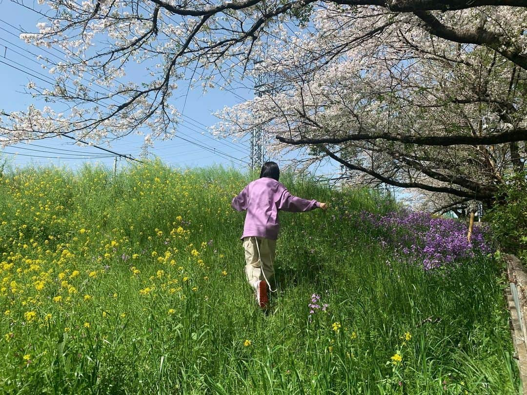 る鹿さんのインスタグラム写真 - (る鹿Instagram)「🌿🌱🌸」4月9日 1時47分 - luluxinggg