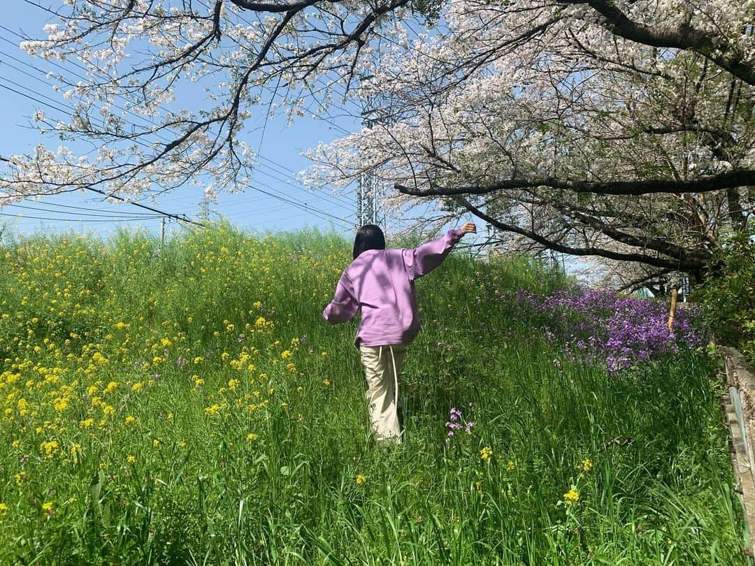 る鹿さんのインスタグラム写真 - (る鹿Instagram)「🌿🌱🌸」4月9日 1時47分 - luluxinggg