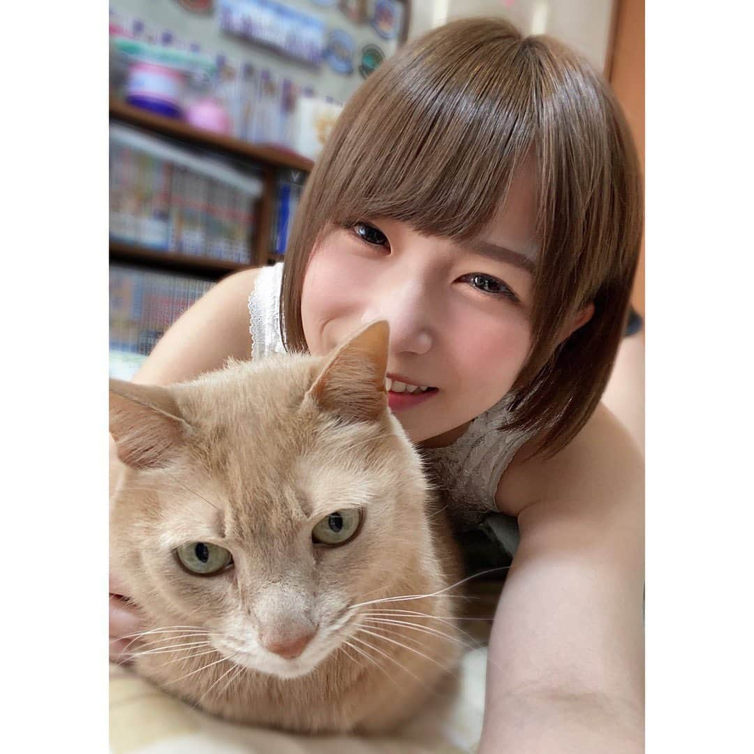 村上りいなさんのインスタグラム写真 - (村上りいなInstagram)「😊🐱❣️  #cat #猫　#cute #love #family」4月9日 15時42分 - riina_murakami