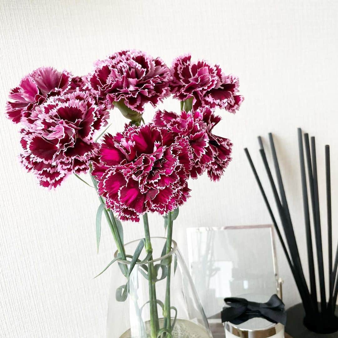 吉田美紀さんのインスタグラム写真 - (吉田美紀Instagram)「・ ・ おはようございます♡ よく見ると不思議だなぁ…繊細だなぁ…と 朝からじっくりカーネーションを眺める朝です。 ・ 紫色のカーネーションの花言葉は 『気品・誇り』なんですって！ ・ お花の種類、カラーによって お花屋さんの花瓶にひとつひとつ花言葉が書かれていたので カンニングしてきました！ ・ #carnation #flowers #flowerlanguage #お花 #カーネーション #花言葉 #お花のある暮らし」4月9日 8時41分 - miki__yoshida