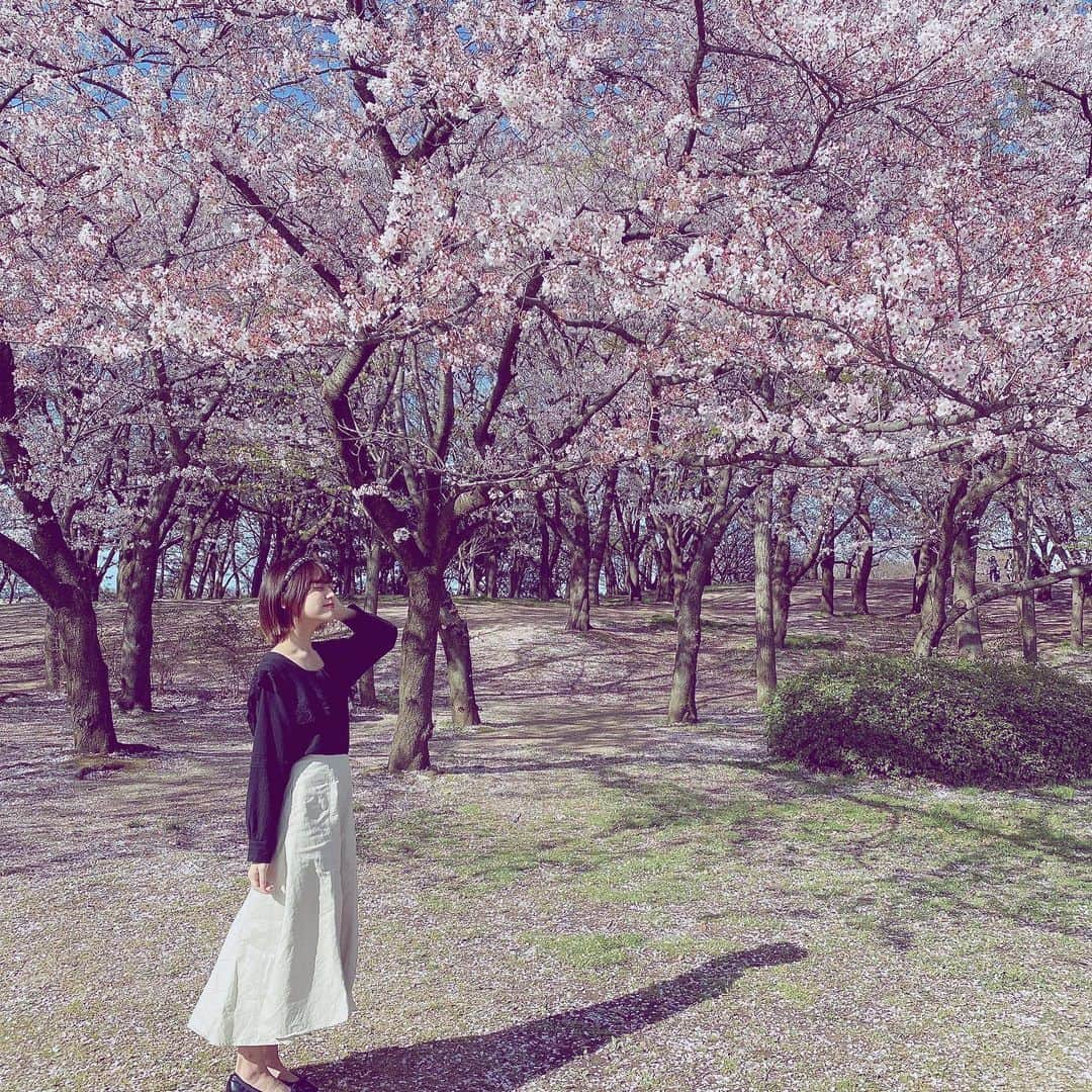 中村歩加さんのインスタグラム写真 - (中村歩加Instagram)「桜綺麗だった🌸 .  #新潟 #桜 #お花見」4月9日 9時53分 - nakamuland_official