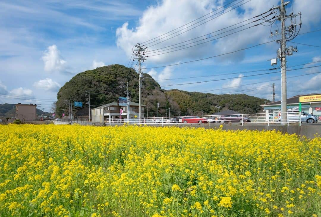 東京電力ホールディングス株式会社さんのインスタグラム写真 - (東京電力ホールディングス株式会社Instagram)「電柱と菜の花 Electric Pole with Canola Flowers  #東京電力 #tepco #静岡県 #電柱 #電柱風景 #電柱のある風景 #utilitypole #electricpole #wwwdc #春爛漫 #春 #風景写真 #景色写真 #青空 #青空と雲 #skyblue」4月9日 11時45分 - tepco.official