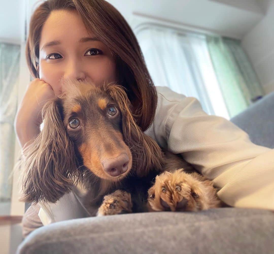 ぱにゃえのインスタグラム：「久しぶりさん🐾  #髪伸びてきた  #伸ばすかまた迷うお年頃」