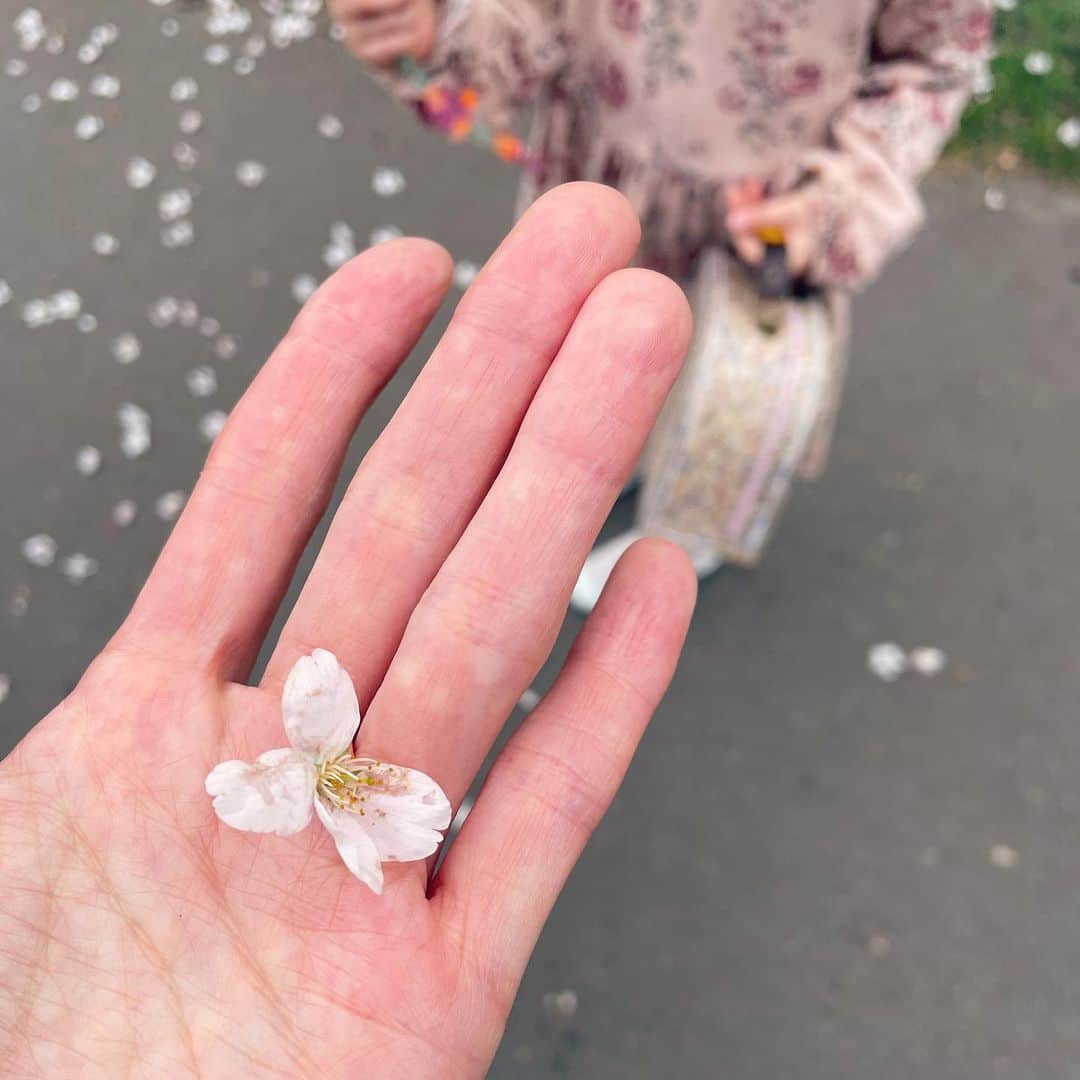 MEGのインスタグラム：「ロンドンにも桜の季節がきたので、公園でお花見。最近は花柄やピンクなどが大好きで、可愛いものをみつけるといつもちょこっとだけお裾分けしてくれます。帰ったらトランクの中から花びらがいっぱいでてきた... 数年前から毎月子育てエピソードを連載をさせてもらっている @hugmug_insta と子どもと一緒に使えるヘアケアシリーズ @ma_me_latte_official の「#2人のレディーフォト」コンテストが5/6まで開催中！との良き情報。「2人のレディー」の素敵な瞬間を投稿してグランピングの利用券やカメラなど貰えるとか。うむ、ほしい。 #2人のレディーフォト #マーアンドミーラッテ #PR」