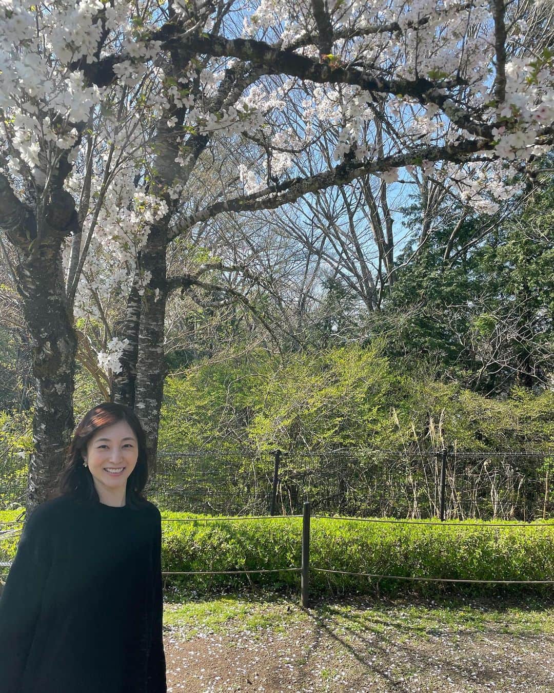 青山倫子さんのインスタグラム写真 - (青山倫子Instagram)「まだ咲いているところみぃつけた🌸 まだかなまだかな、あとどれくらいで咲くかな、と蕾が少しずつ大きくなるのをワクワクしながら観察して、あんなに心待ちにして。 咲いてしまうとあっという間だよね。 一瞬だからこそ、なおさら美しい。 みんなが桜を見るために上を見上げていていいよねってお友達が言っていた。 本当にその通りだ。 気持ちも心も明るくなって幸せだ🌸  #青山倫子 #桜 #一瞬だからこそ美しい #上を見上げる #こんな時だからこそ #気持ちも心も明るくね」4月9日 19時34分 - noriko_aoyama1229