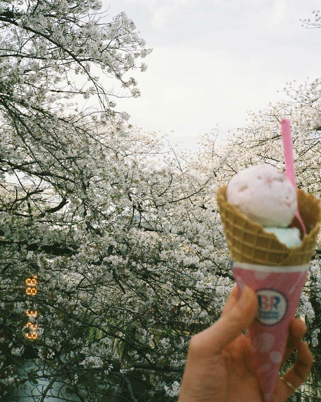 信太美月さんのインスタグラム写真 - (信太美月Instagram)「#mizukifilm」4月9日 21時43分 - shidamizuki