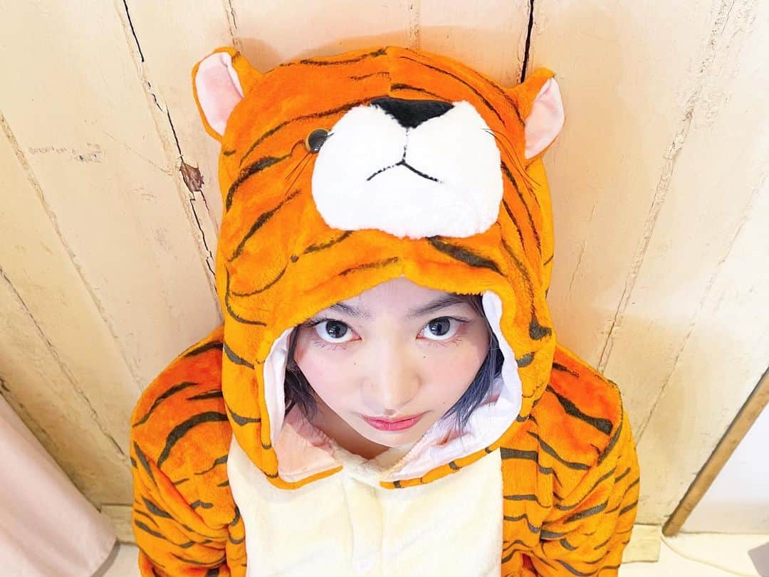 柏木ひなたさんのインスタグラム写真 - (柏木ひなたInstagram)「🐯🐯🐯﻿ ﻿ 目が合わないか合っちゃうか笑ってるか ﻿ ﻿ #柏木ひなた #私立恵比寿中学 #エビ中 #ebichu﻿ #生写真 #オフショット #着ぐるみ #虎 #🐯」4月9日 22時30分 - hinata_official_kashiwagi