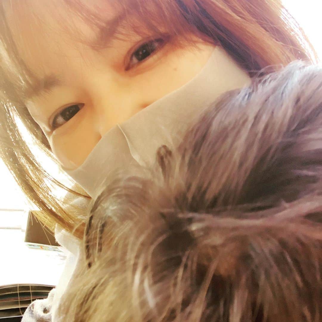 中澤裕子のインスタグラム：「・・  今日から新年長さんの息子。  クラス替えに 昨日からドキドキしてた息子。  朝から あードキドキそわそわするー。 きんちょーするー。と息子。  そんな様子が可愛くてたまらない母。  大好きなお友だちと同じクラスになれてリラックスな娘。  今日は迎えに来て、、と言われたら いや、言われなくても迎えに行くつもりでした。  半日私もソワソワ。 誰と同じクラスかな、、。  迎えに行った時の息子の満面の笑み。 良かったね、良かった良かった。  息子の笑顔が全ての答えです。  幼稚園最後の一年。 元気にしっかり通えますように。  #いよいよ幼稚園児ママ最後の年 #クラス離れても仲良くしてね #一年間無事に通えますように」