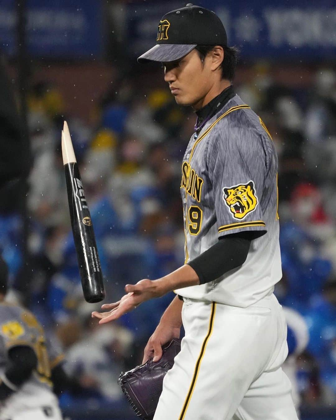 藤浪晋太郎のインスタグラム：「おばんです。 本日、今シーズン初勝利を収めることができました⚾️ ピリッとしたピッチングではないですが、打線や守備やリードに助けられて、なんとか粘り抜けて良かったです‼️  明日からまた来週に向けて準備します‼︎ 次以降も応援よろしくお願いします😼  #藤浪晋太郎 #阪神タイガース  Photo by @sponichi_official」