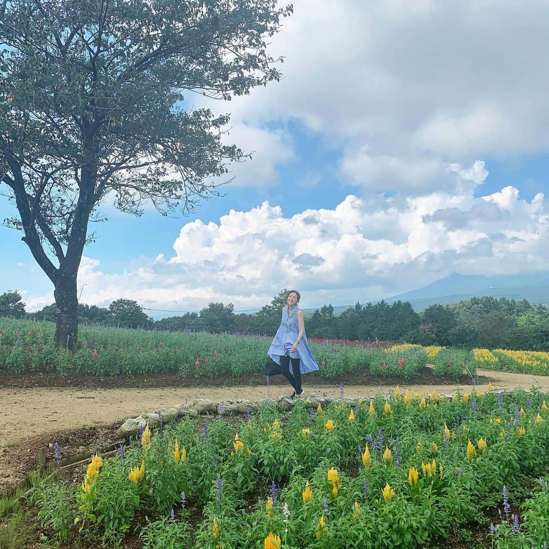 藤田陽子さんのインスタグラム写真 - (藤田陽子Instagram)「コロナが始まってもう2年。 1日も早く終息して欲しいですね… 旅行できる日がきますように  I hope covic19 disaster will end soon and we can travel freely again.  @definebeautyjapan  @definebeauty @ディファインビューティ  #旅行好きな人と繋がりたい  #旅行コーデ  #コロナに負けるな  #思い出 #思い出グラム  #アラフィフコーデ #アラフィフ女子 #大人可愛い #今日のコーデ #大人スタイル #カジュアルコーデ  #スナップミー #上品コーデ #instapicture  #beauty  #beautiful  #fashionblog #fashionblogger #dailylook #tokyolife #travelphotography  #traveljapan」4月10日 9時51分 - yoko.fujita.official