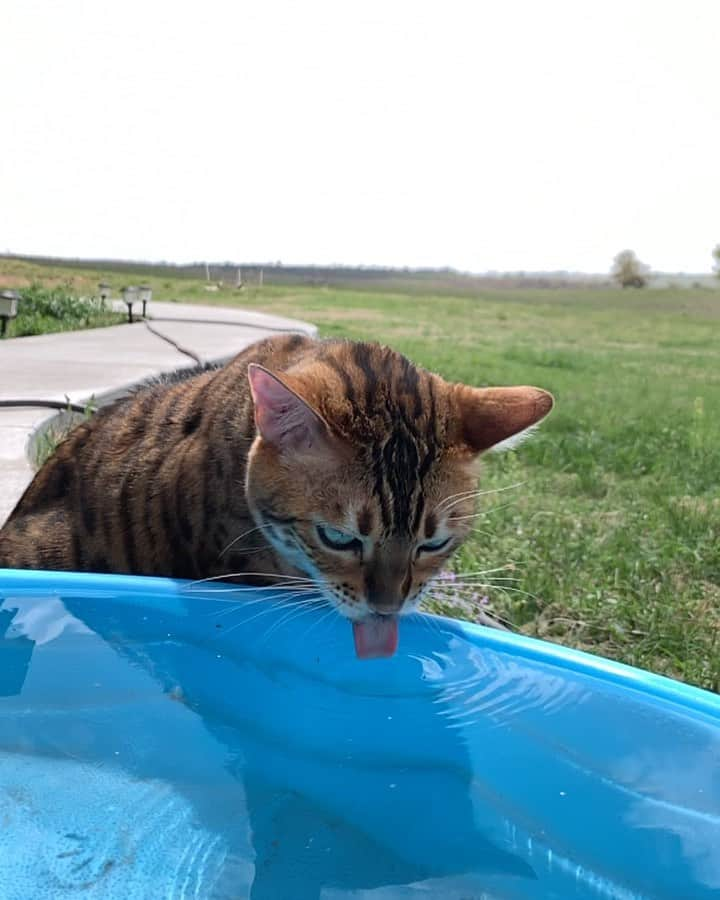 Bensonのインスタグラム：「Drinking some water 💧」