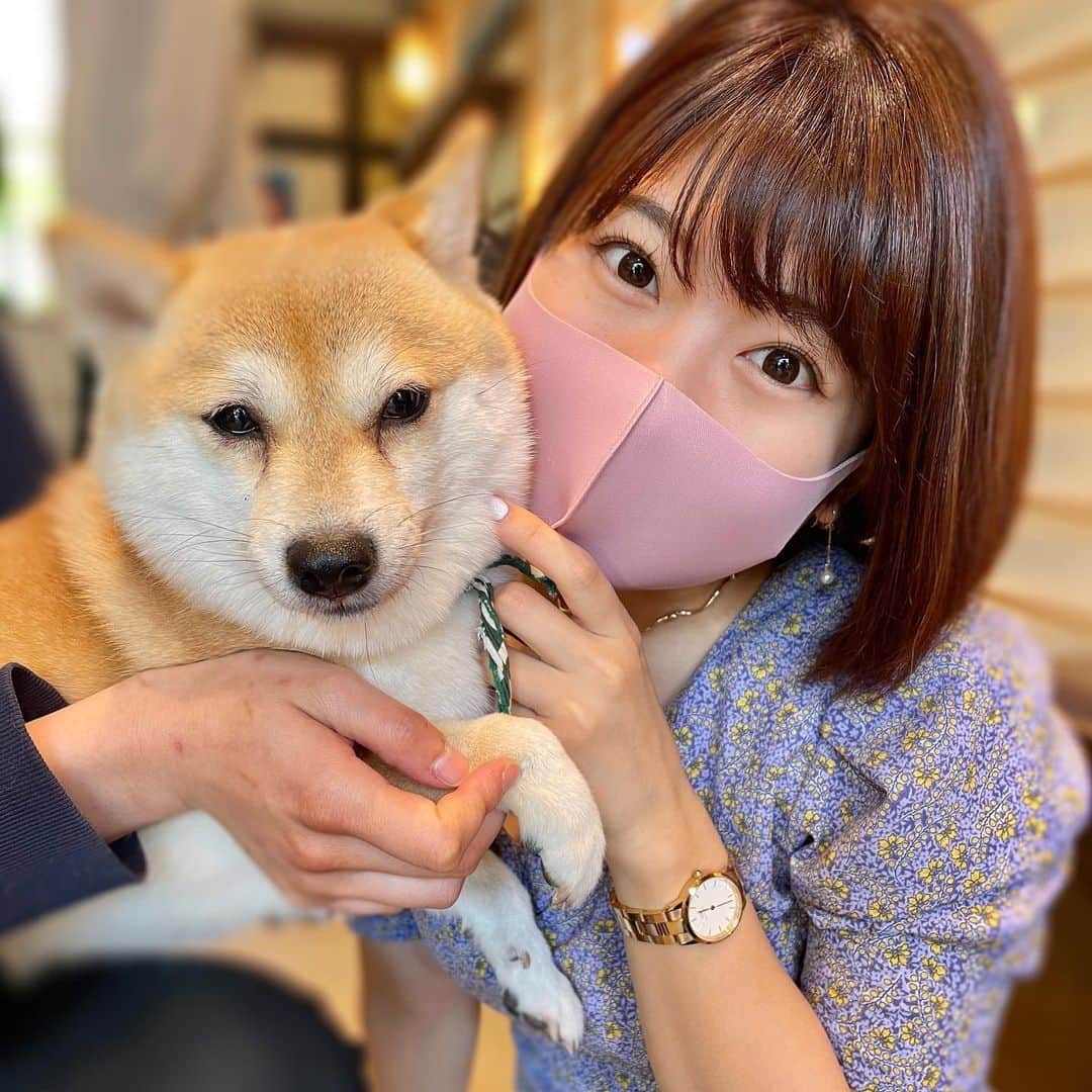 矢端名結さんのインスタグラム写真 - (矢端名結Instagram)「やっぱり犬が1番好き🐶 皆さんは動物何が好き？ #癒し　#癒しわんこ」4月10日 20時35分 - miyu_yabata