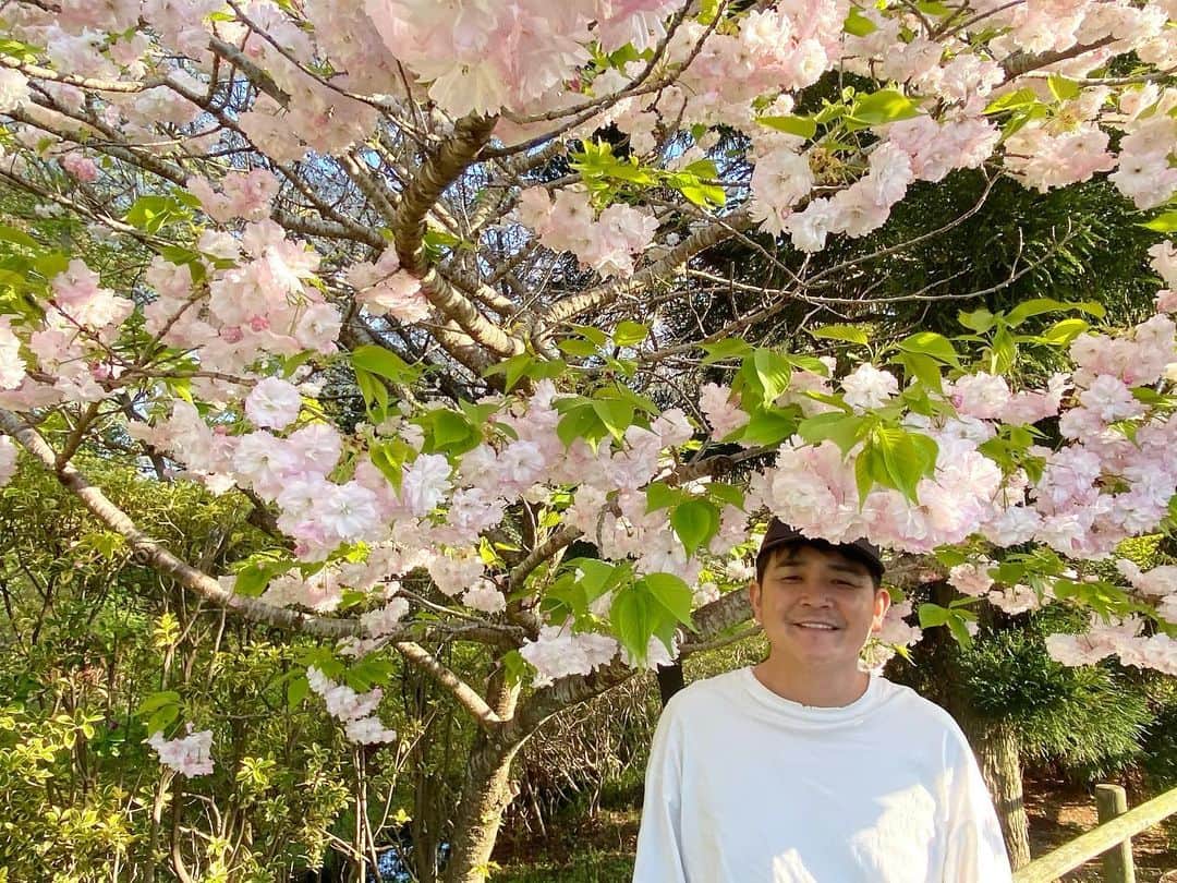 ノブ のインスタグラム：「花束を君に。  上方漫才大賞をかまいたち。 奨励賞をプラスマイナス。 新人賞をネイビーズアフロ。」