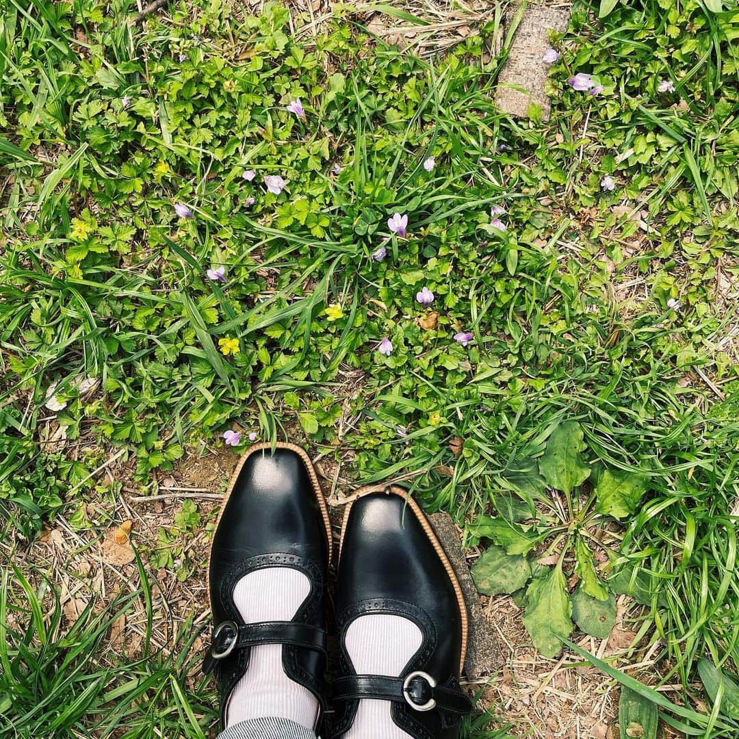 のインスタグラム：「春だー🌸 新しい靴を履いてお出かけすると気持ちがいいですね」