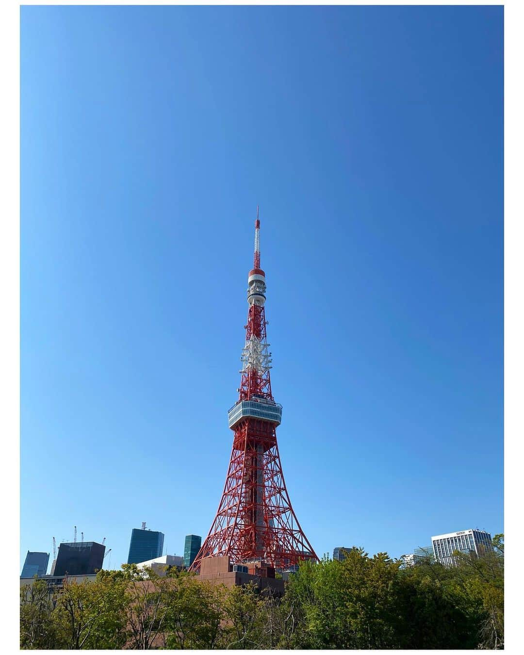 吉竹史さんのインスタグラム写真 - (吉竹史Instagram)「お花全く咲いてない、お花見という名の日光浴🌞🌸  芝公園はUFOの写真撮っちゃった場所だから〔2018年9月10日投稿参照〕、今日も写真撮ってみた。  今日は写って、ない、、みた、い？🛸  天気が良いって、それだけのことなのに、最高に気分が上がるね😊  最近仕事行くか、モンハンで狩りに行くかしかしてなかったので、太陽の光が目に染みました🦖⚔🦕  #お花見という名の日光浴 #東京タワー #装備は太刀 #翔蟲がムズい  #操竜楽しい　#アオアシラ乗りやすい」4月10日 20時01分 - fumi_yoshitake