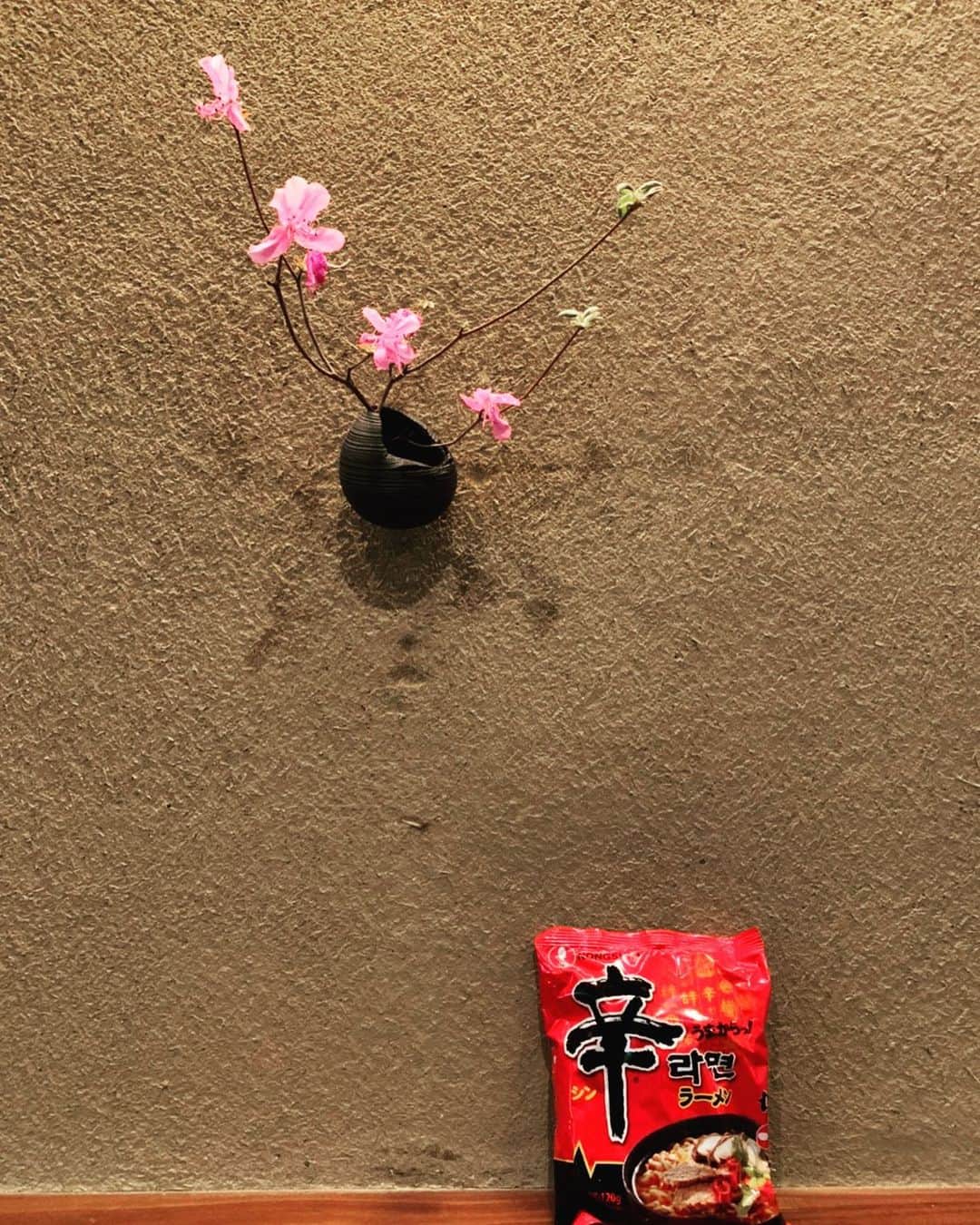 のインスタグラム：「よきかな☺️  #辛ラーメン」