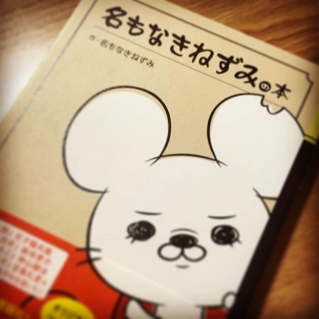 弟者さんのインスタグラム写真 - (弟者Instagram)「名もなきねずみさんの本！」4月10日 11時46分 - otojya_2bro