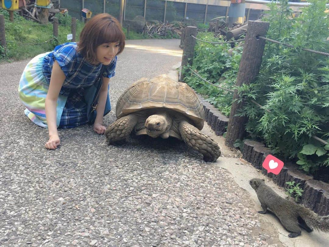 カブトムシゆかりのインスタグラム