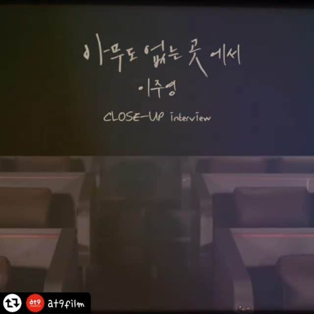 イ・ジュヨンのインスタグラム：「from @at9film   Q. 실제로 주은처럼 기억을 잃는다면?💬  🌿내가 모르는 세계에 떨어졌지만 건강히 살아가고 있는,  <아무도 없는 곳> 주은(이주영 배우)의  클로즈업 인터뷰에서 그 이야기를 확인하세요!🙌🏻🙌🏻  >> WHO IS NEXT? (기대해주세요💟)  #김종관감독 #아무도없는곳 #절찬상영중 #연우진 #김상호 #이지은 #이주영 #윤혜리 #위로 #희망 #감성 #N차관람 #영화추천」