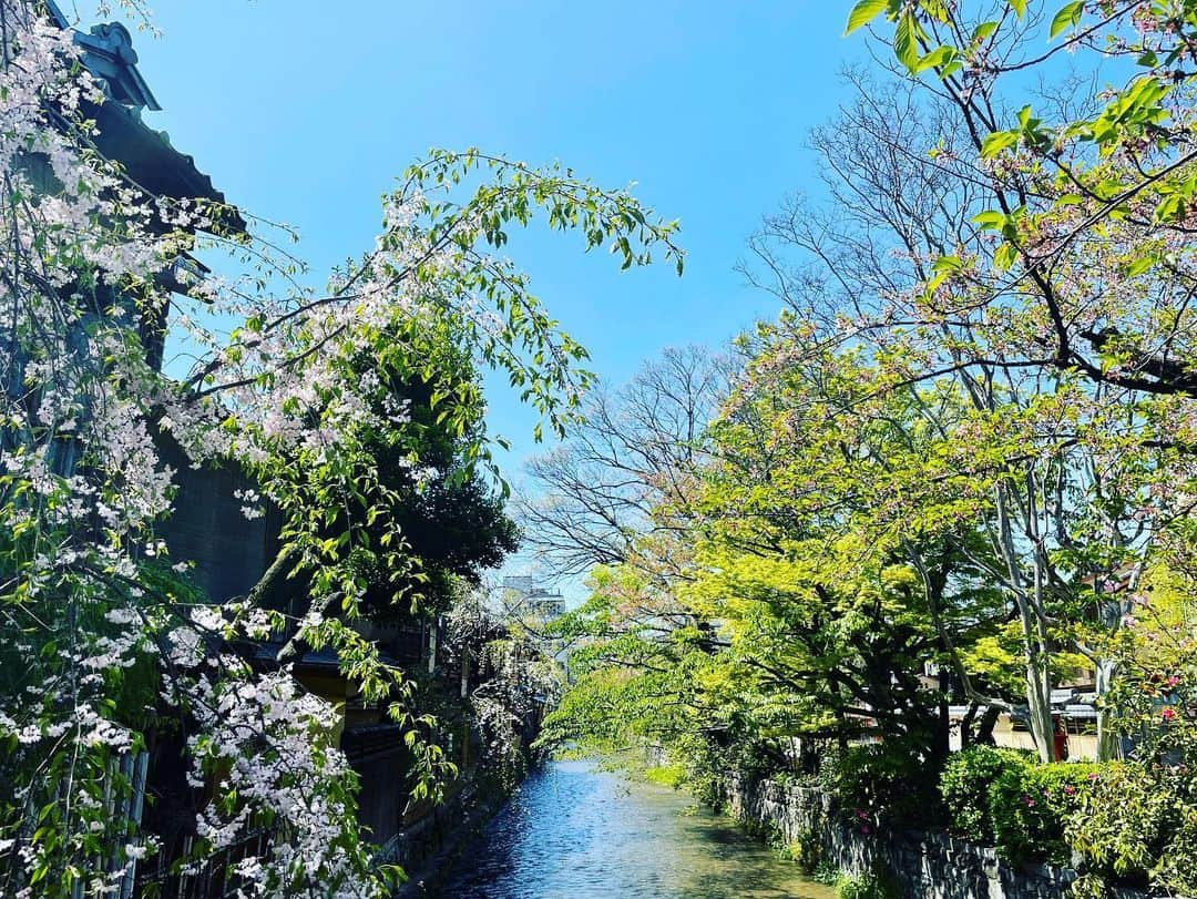 武井壮さんのインスタグラム写真 - (武井壮Instagram)「京都祇園散策 素敵な街並みだなぁ 元気出た」4月10日 13時15分 - sosotakei