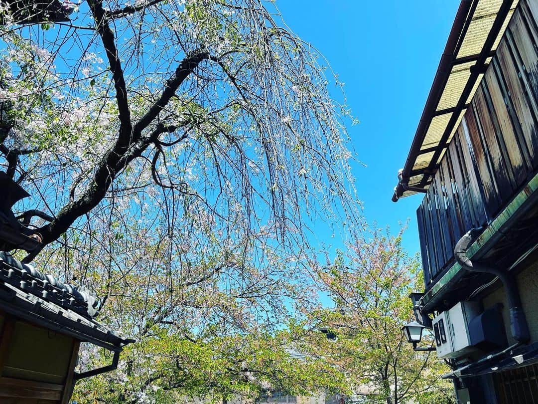 武井壮さんのインスタグラム写真 - (武井壮Instagram)「京都祇園散策 素敵な街並みだなぁ 元気出た」4月10日 13時15分 - sosotakei