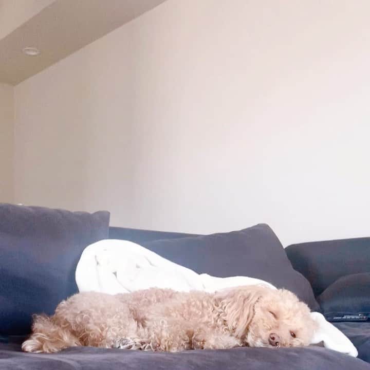 佐川理佳のインスタグラム：「weekend 🤍☁️☁️☁️」