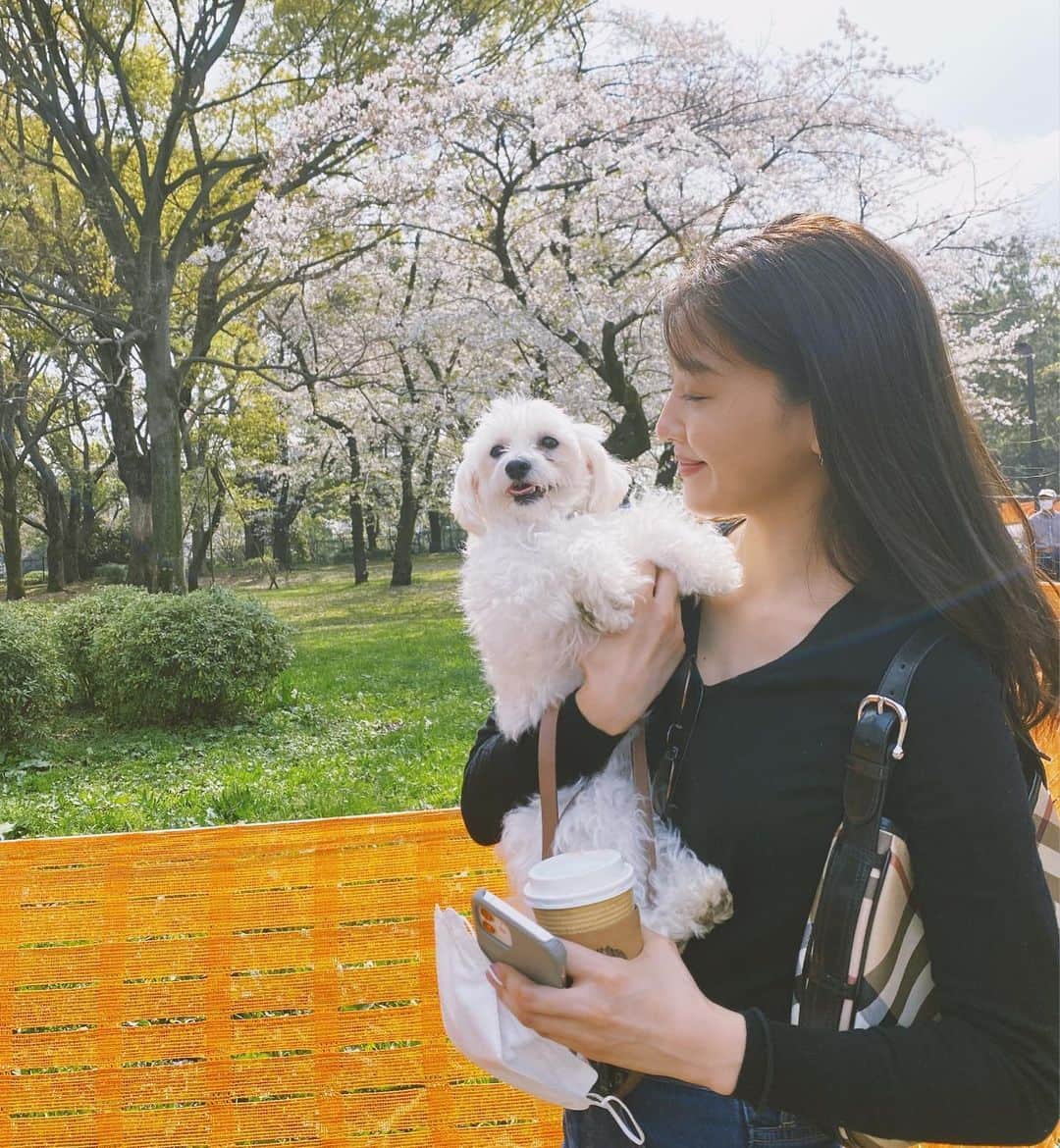 静麻波さんのインスタグラム写真 - (静麻波Instagram)「ちょっと前、桜が見られてドッグランにも行けて満足な日🌸 モナもご機嫌☺︎☺︎」4月10日 13時49分 - manami_shizuka