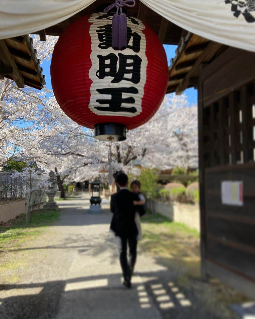 佐々木ゆう子のインスタグラム：「入学式は妹も参列☺︎❤︎  #入学式 #午前授業とかないのね  #いきなり始まった #息子　の #小学校ライフ #楽しくてしかたない らしい #順応性 #凄い #給食 #美味しすぎて　毎日、各お皿 #3杯　ずつ　 #おかわり　するらしいw #毎朝 #5時起き #妹　も頑張って起きるようになった👏 #2歳差育児」