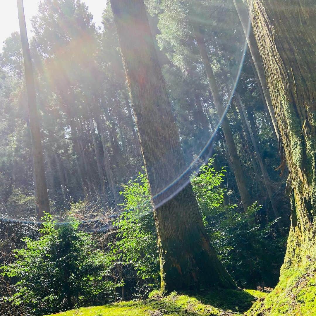 木村多江さんのインスタグラム写真 - (木村多江Instagram)「美しい自然の中 山登り。  登りはすれ違いの挨拶が ちょっと恥ずかしい。  でも下るときには 頂上に行けた高揚感のまま なぜか弾んで こんにちはぁ〜！  知らない誰かと つながったみたいで 嬉しくなっちゃう。  頂上まであとどれくらいですか？ なんて登りの人に話しかけられて また嬉しくなって 答えちゃう。  人とのつながりは むずかしいけど。  まずは こんにちは〜、でいいんだなぁ🌸  曇りでも 雪や雨でも 心には花が咲いてるといいな😊」4月10日 14時30分 - taekimura_official