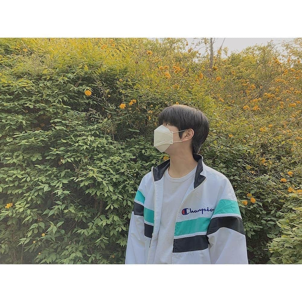 Stray Kidsさんのインスタグラム写真 - (Stray KidsInstagram)「활짝 핀 스테이 보고 옴🌸  #승스타그램」4月10日 20時42分 - realstraykids