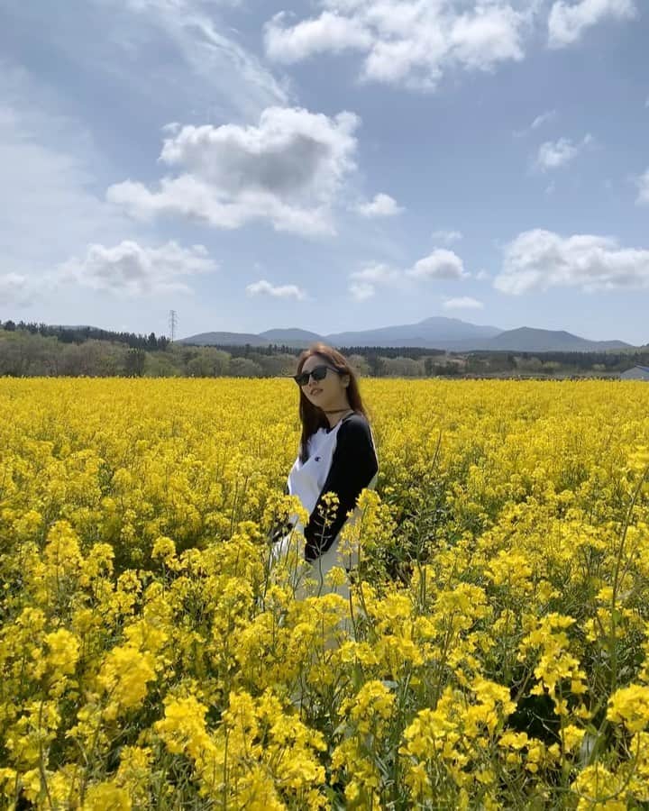 ソン・ダムビのインスタグラム：「제주도 안녕 👋👋👋」