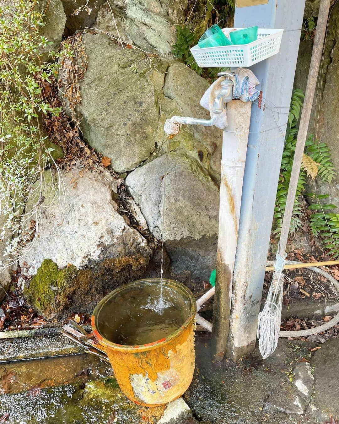 吉山りささんのインスタグラム写真 - (吉山りさInstagram)「♨️ 今日の温泉タオルは  『明賀屋本館』さん♨️  とてもきれいなブルーエメラルド😍  何段もの階段を降りていくと 目の前には川が流れる川岸露天♨️🏞  鉄の香りがする露天風呂の向かいの山では 動物も見えるとか見えないとか🦌  温泉が沢山ある旅館さんでした☺️♨️  #勝手に好きな温泉紹介  #明賀屋本館 さん #温泉  #源泉かけ流し #観光 #栃木観光 #栃木 #旅 #旅行 #トラベル #travel #温泉旅行 #温泉タオル #塩原温泉   #川岸露天風呂   #吉山りさ #温泉女子 #♨️ #秘湯   #フリーモデル #温泉モデル #モデル #溫泉 #japan #美容 #一人旅 #旅人」4月10日 18時02分 - oreorerisa