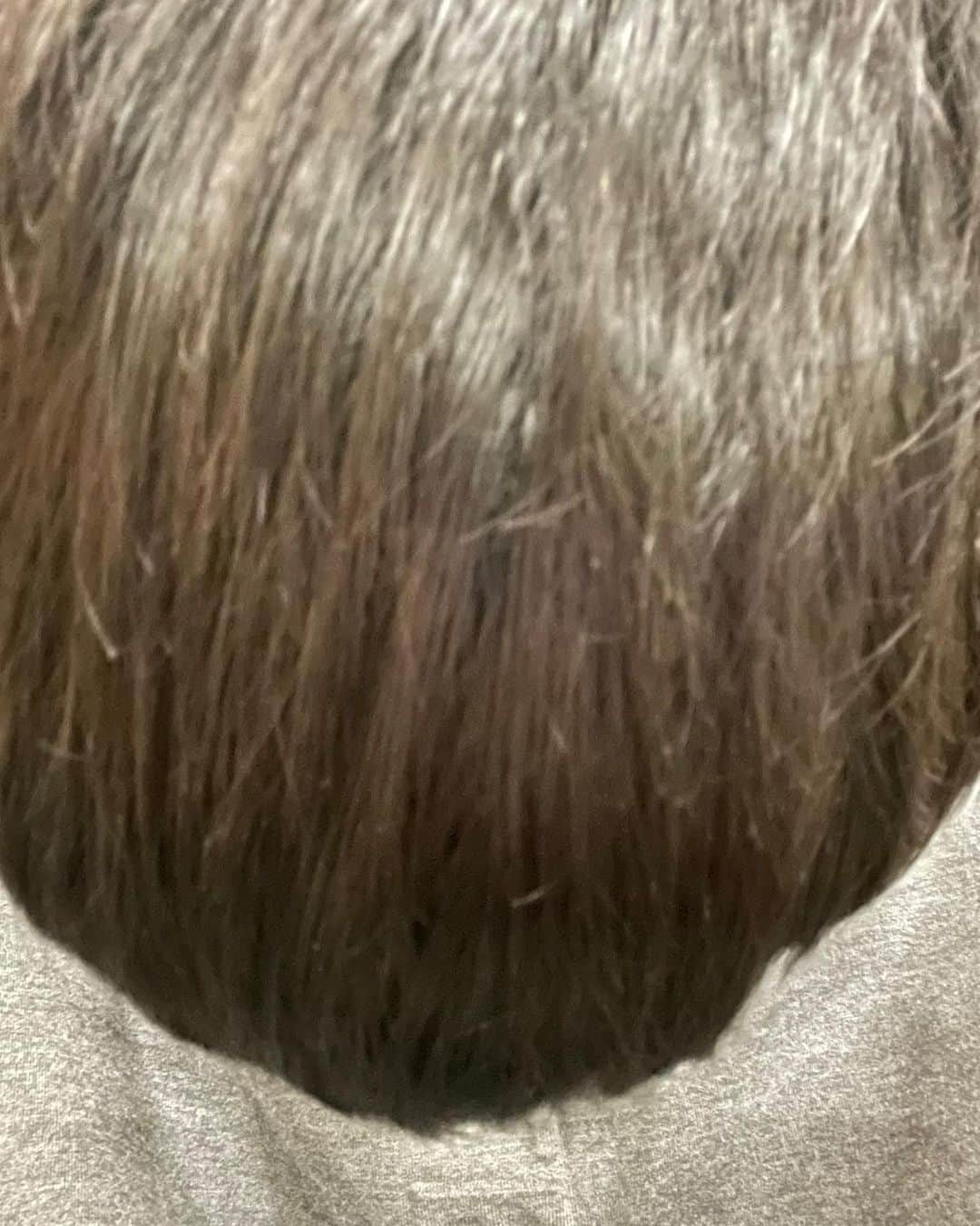 鈴木福さんのインスタグラム写真 - (鈴木福Instagram)「髪切りました！ いやわからん つまらな！！！(笑)  #鈴木福#髪切りました#近すぎ#つまらないボケをすみません」4月10日 23時03分 - s_fuku_te