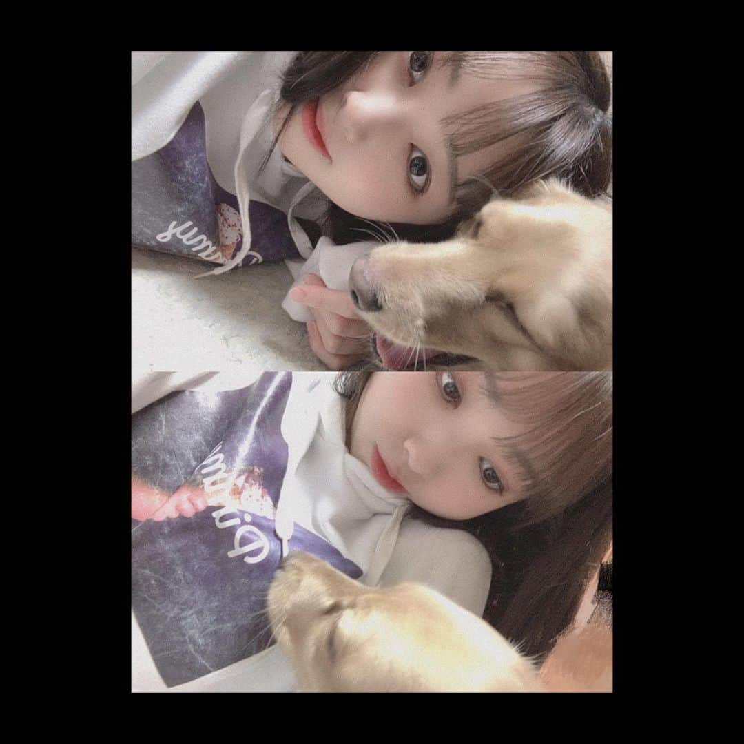 山内祐奈さんのインスタグラム写真 - (山内祐奈Instagram)「good night☪︎  帰ってきたらいつもらぶらぶしてます🐶」4月10日 23時20分 - yuna_hkt48