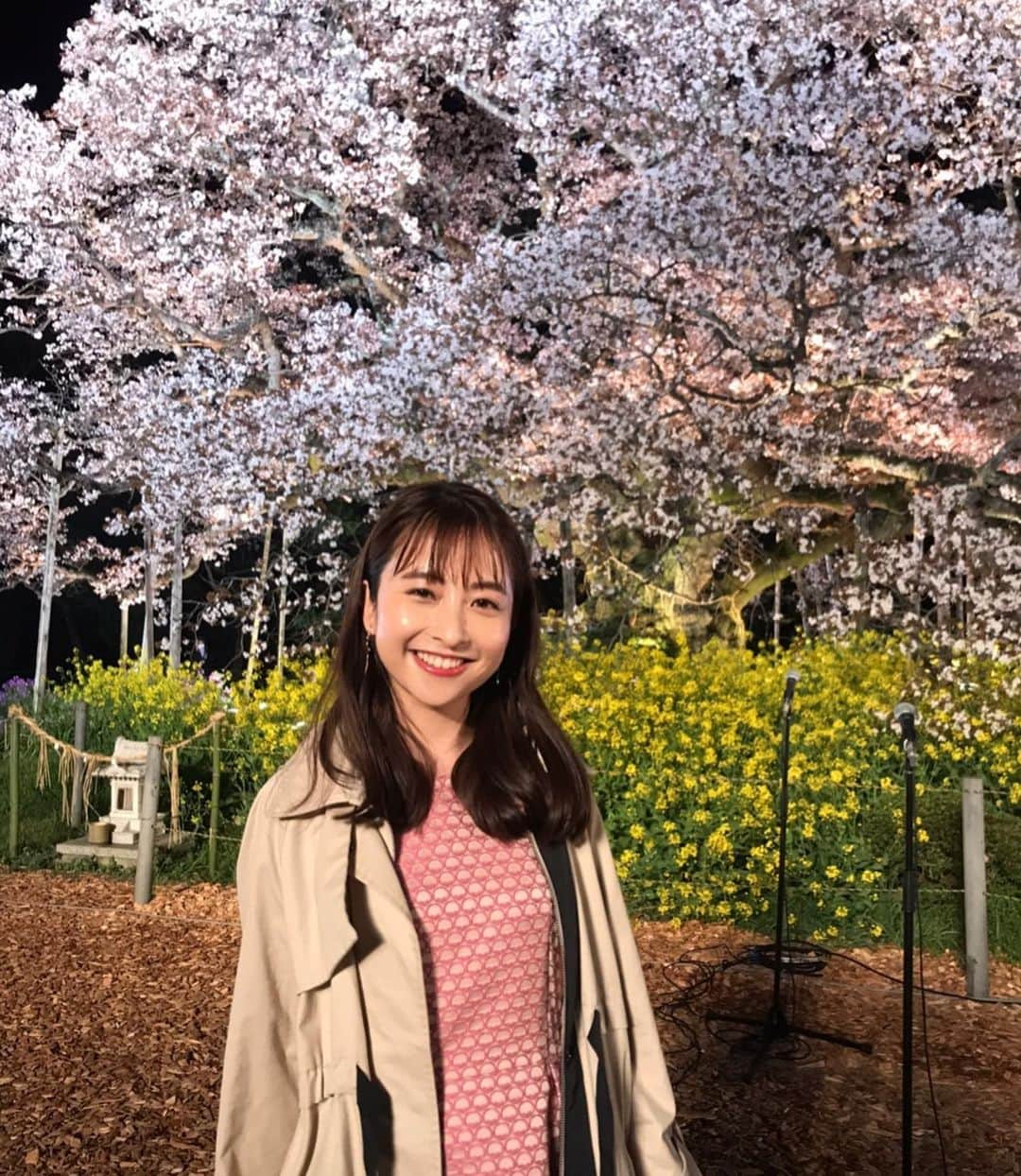 のインスタグラム：「カメラロールの中の春を記録しておこう🌸  先日のCDTVライブライブ！ 久しぶりの中継でお邪魔させていただいたのは 吉高の大桜。  300年は超える樹齢で、 満開になるのは数日だけ。 遭遇できたら、奇跡なんですって☺️  そんな大桜と一緒に、 素晴らしい音楽をお届けできて、 その瞬間に立ち会うことができて、 感無量でした。 また泣いていました。笑  あっという間に季節は進みますが、 ゆっくりと楽しんでいきたいものです☺️  #CDTVライブライブ #森山直太朗 さん　いつもありがとうございます！ #TBS #日比麻音子」