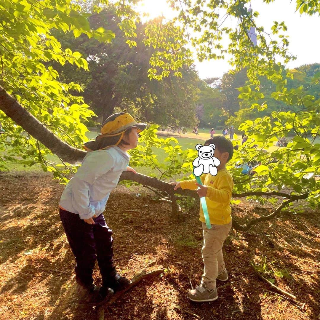 龍円愛梨さんのインスタグラム写真 - (龍円愛梨Instagram)「新緑の季節は本当に綺麗🍀仲良しのおともだちと虫探したり、駆け回って遊んでました。  #渋谷区民 #公園遊び大好き #虫好き #新緑の季節 #写真好き #ダウン症育児」4月11日 11時43分 - airi_ryuen