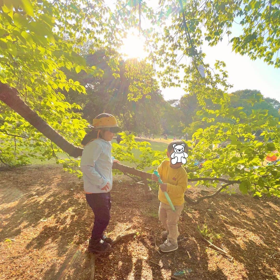 龍円愛梨さんのインスタグラム写真 - (龍円愛梨Instagram)「新緑の季節は本当に綺麗🍀仲良しのおともだちと虫探したり、駆け回って遊んでました。  #渋谷区民 #公園遊び大好き #虫好き #新緑の季節 #写真好き #ダウン症育児」4月11日 11時43分 - airi_ryuen