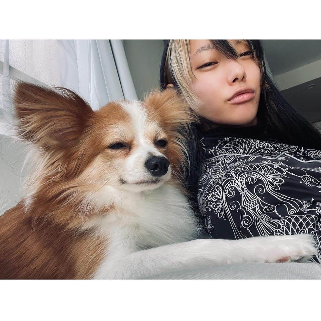仲万美（Bambi Naka）さんのインスタグラム写真 - (仲万美（Bambi Naka）Instagram)「We look alike ? 🦌🐕 @801_tonsuke」4月11日 11時44分 - 615_bambi