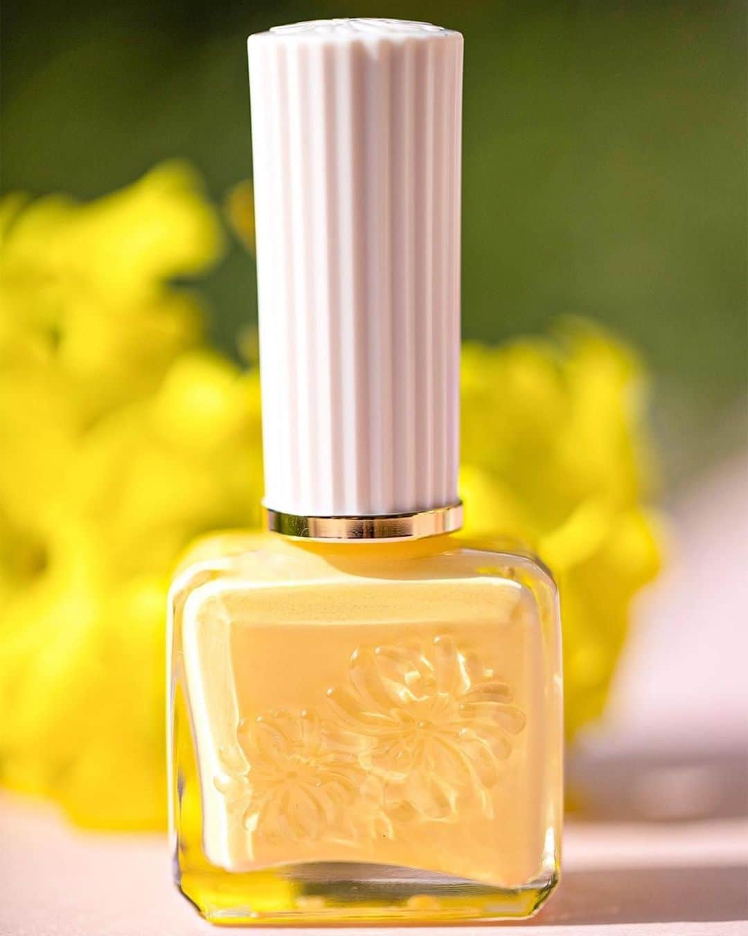 PAUL & JOE BEAUTEさんのインスタグラム写真 - (PAUL & JOE BEAUTEInstagram)「・ A replenishing season where the sun shines freely.  How about a scrumptious lemon tarte yellow to match the mood?  ■Nail Color 10ml 19 『Tarte au Citron』 〈Available now〉  太陽がやさしく微笑む、 爽やかな季節。  レモンタルトのような こんな爽やかな イエローネイルはいかが？🍋  ■ネイル カラー 10ml 各1,760円 19 『タルト オ シトロン』 〈店頭とオンラインショップで発売中〉 #PaulandJoe #paulandjoebeaute #ポールアンドジョー #summer #summercollection #nailcolor #nailpolish #beautiful #beauty #instagood #instabeauty #ネイル #ネイルカラー #サマーネイル #ギフト #コスメ垢 #デパコス #おうち美容 #おこもり美容 #ネイルワードローブ #セルフネイル #セルフネイル部」4月11日 12時23分 - paulandjoe_beaute