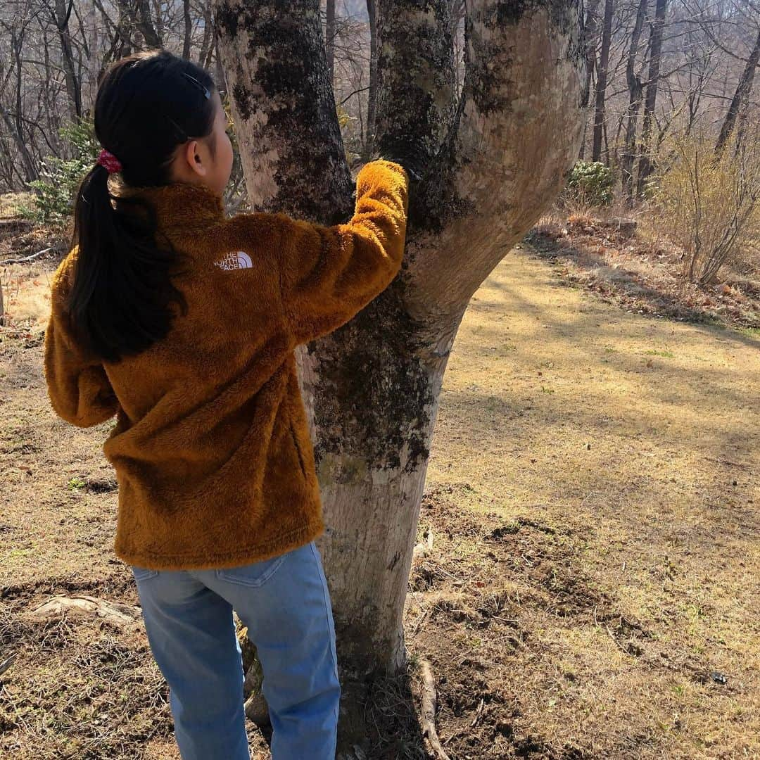 三浦瑠麗さんのインスタグラム写真 - (三浦瑠麗Instagram)「イースターのうさぎさんが少し遅れてきたみたい。 お店があいてなかったのかな、ラップにつつんだピスタチオと動物クッキーが入っていた。」4月11日 12時42分 - lullymiura