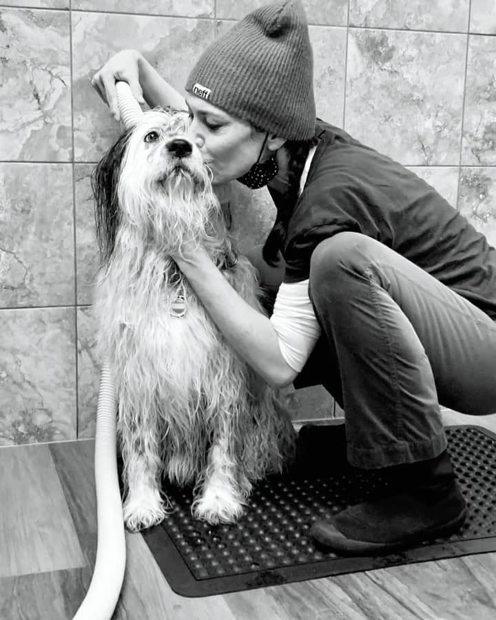 ミシェル・フォーブスのインスタグラム：「Dysfunctional Dogwashing 🤍」