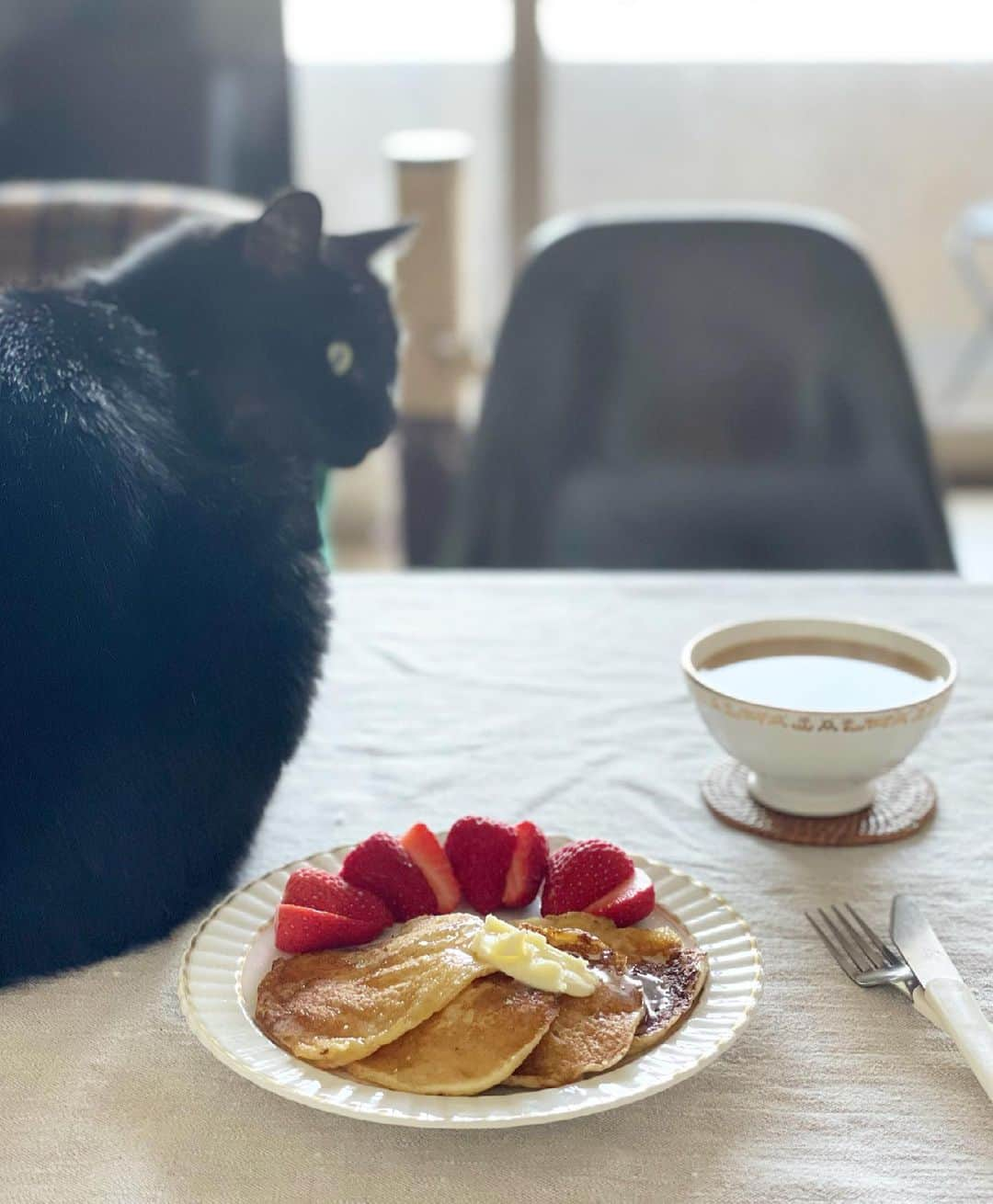 猫沢エミさんのインスタグラム写真 - (猫沢エミInstagram)「朝ごはん。  冷凍ストック・虎のバター🐯のパンケーキ、苺を添えて。& カフェ・クレーム。  と、ここまで書いて、ハタと疑問がわいた。一昔前まで〝カフェ・オ・レ〟と呼ばれていたミルク入りコーヒーが、いつからフランスで〝カフェ・クレーム〟と呼ばれる方が主流になったのか？  ただの言葉の流行り？昔はズボンって呼ばれてて、それがなんだかダサく感じられるようになってパンタロンになって、さらにパンツって言われるようなもの？  で、そんな暇ひとっっつもないのに、気になってフランスのサイトをあら探ししていた今朝。  本来、ミルクで割ったコーヒーがカフェ・オ・レで、その名の通り、生クリームを入れたものがカフェ・クレームだったんだけど、イタリアスタイルのコーヒーとかいろんなタイプのコーヒーが流入するにしたがって、ミルク入りもクリーム入りも、一緒くたにカフェ・クレームと呼ばれるようになったらしい。  ちなみにコーヒーがフランスに初めて上陸したのは1669年のマルセイユ。ルイ14世へオスマン帝国の大使が献上したのが始まりなんですって。  その後、栄養価の高いミルクを入れて、療養飲料としてカフェ・オ・レが医師指導のきっかけで広まったらしいんだけど、その背景には〝コーヒーの黒さは悪魔を想像させる〟ことへの忌み嫌いもあったらしい。  …ってそんなことはいいから、山積みの仕事と確定申告をやりなさいよ😑  #猫沢飯　#ねこしき　#ピガ兄　#猫パリ　#気になるとすぐ調べずにはいられないタチでして　#そんなわけで黒猫族は中世ヨーロッパでひでぇ目にあったんだ🐈‍⬛💢」4月11日 16時51分 - necozawaemi