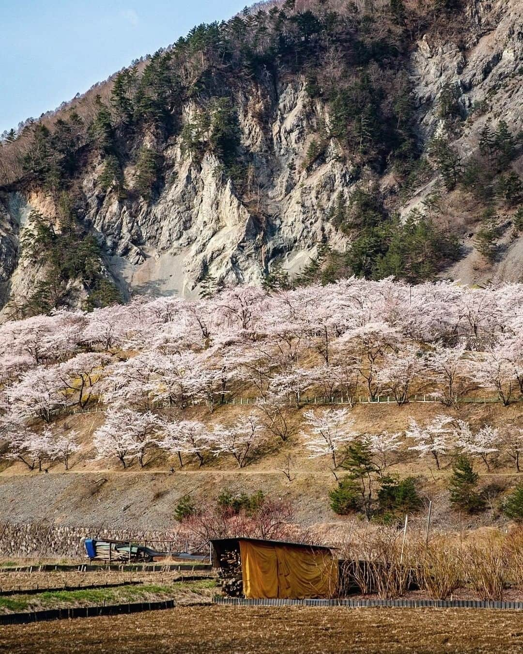 ?長野県 観光 公式インスタグラム のインスタグラム