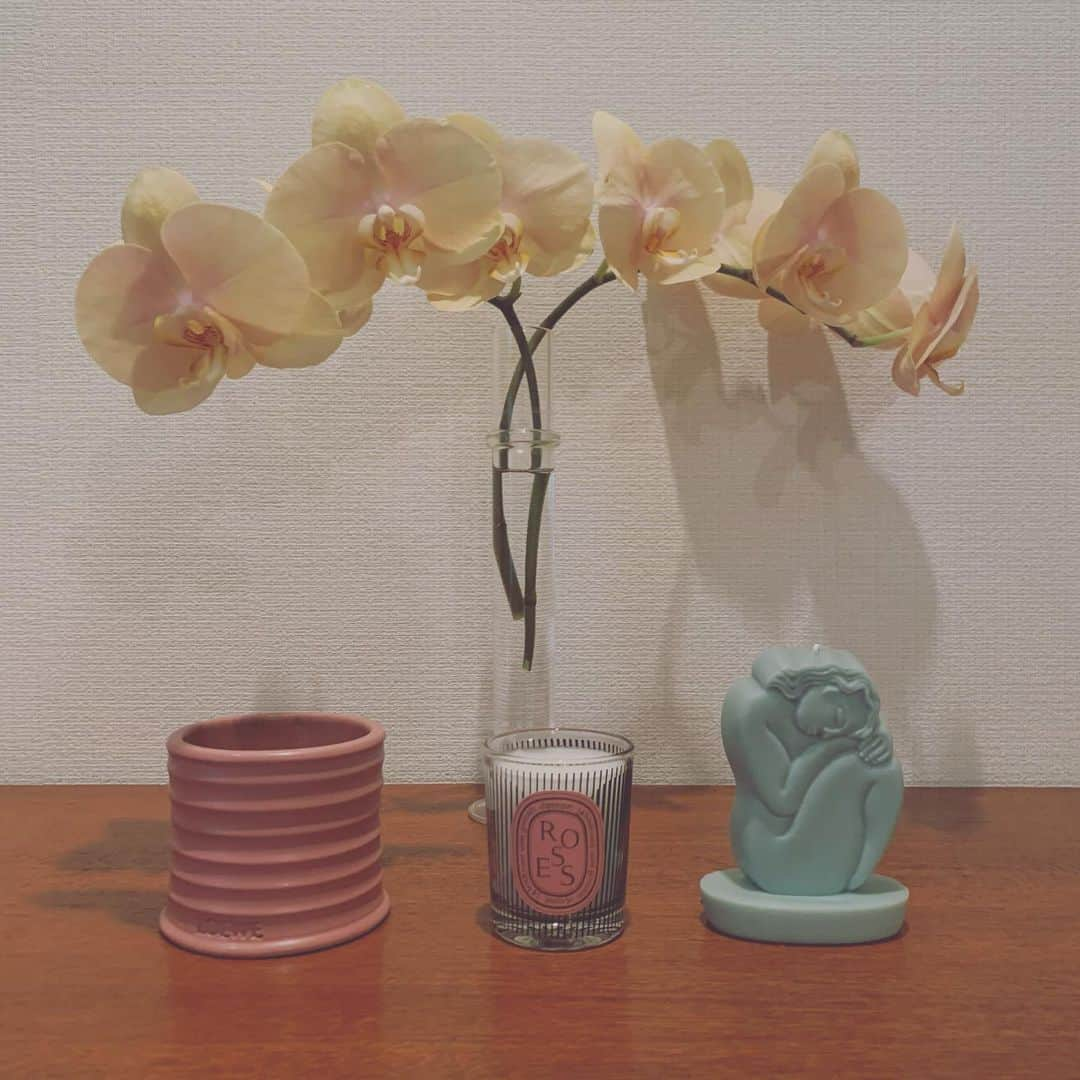 emmaさんのインスタグラム写真 - (emmaInstagram)「pretty things 🕯💦💕」4月11日 17時47分 - okss2121