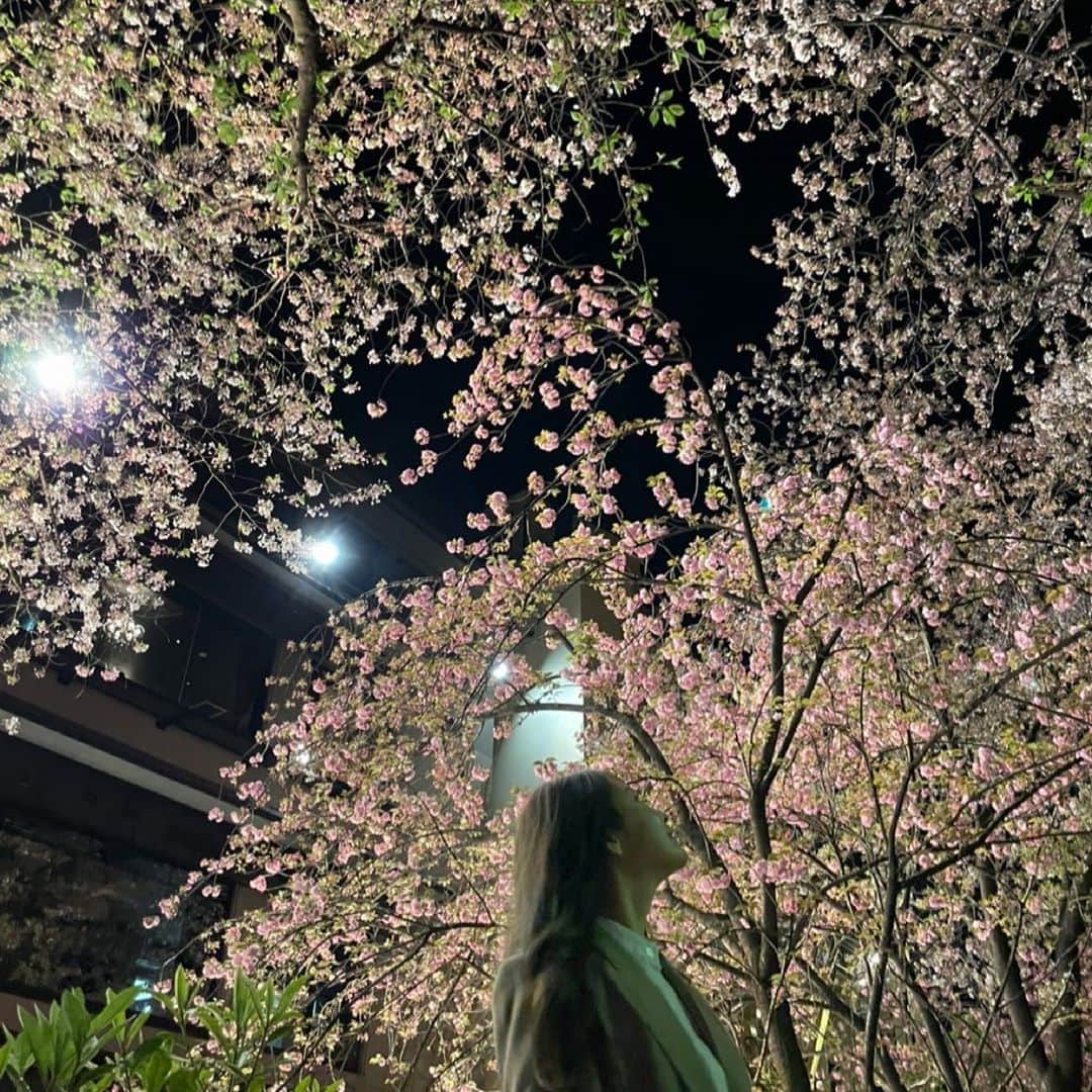 椎名美月のグルメインスタ