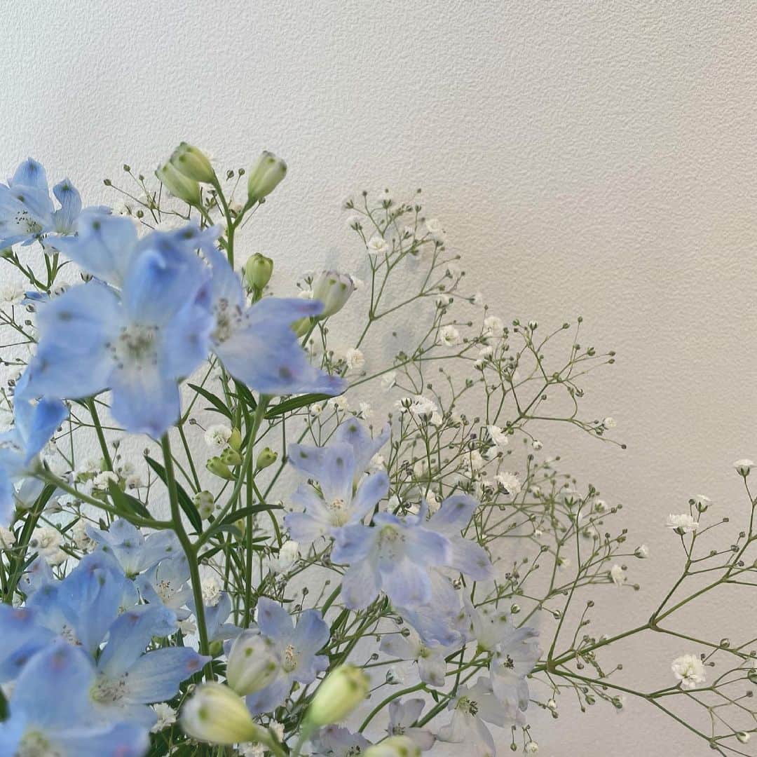 杉本愛里のインスタグラム：「かあいい」