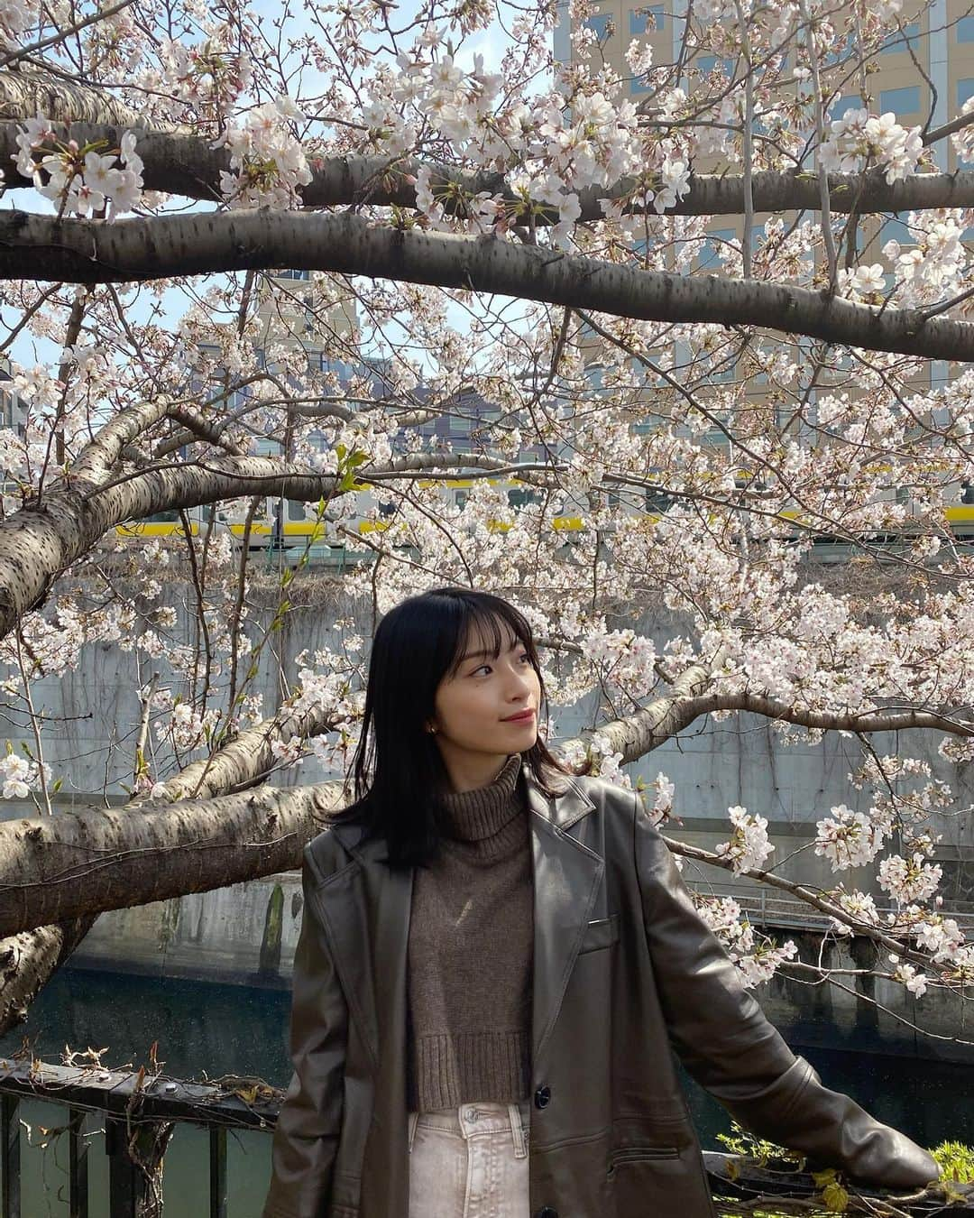 永井理子のインスタグラム：「あっという間に散ってしまった桜… 綺麗だったなぁ🌸  先日久しぶりに @tokyo_ace_clinic に脱毛へいってきました！ 剃るダメージがなくなるから お肌もツルツルになってきた☺️」