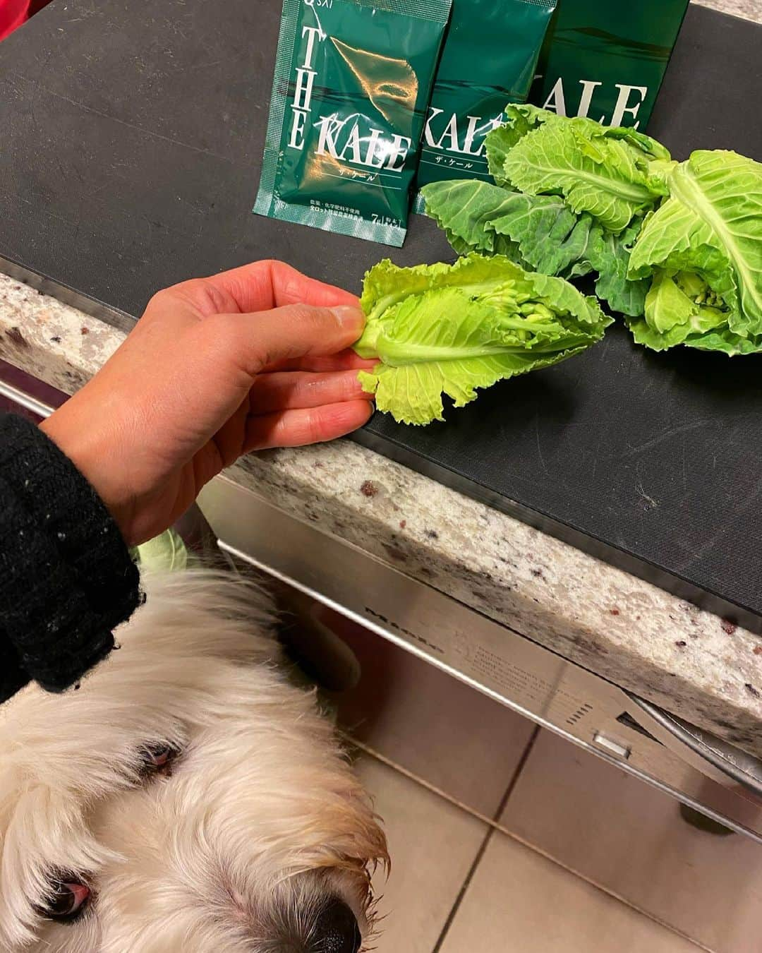 工藤静香さんのインスタグラム写真 - (工藤静香Instagram)「ケールの花芽を頂いたので、夜食を作りました！ 蒸していただくケールの花芽は苦くないし、とっても美味しくて💕　　　オリーブオイルと塩胡椒だけでもとっても美味しかったです。  生ハムにオリーブオイルを少しかけたケールの花芽はエンドレス😍ヘルシーでいいですね💚」4月11日 19時20分 - kudo_shizuka