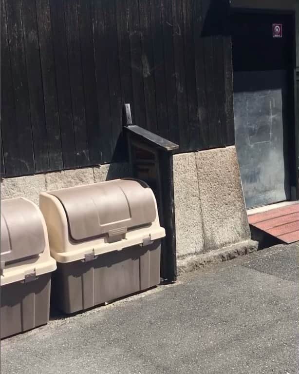 のインスタグラム：「【ものまね】  引越しの手伝いに来たアホな地元の後輩  #ものまね #あるある」